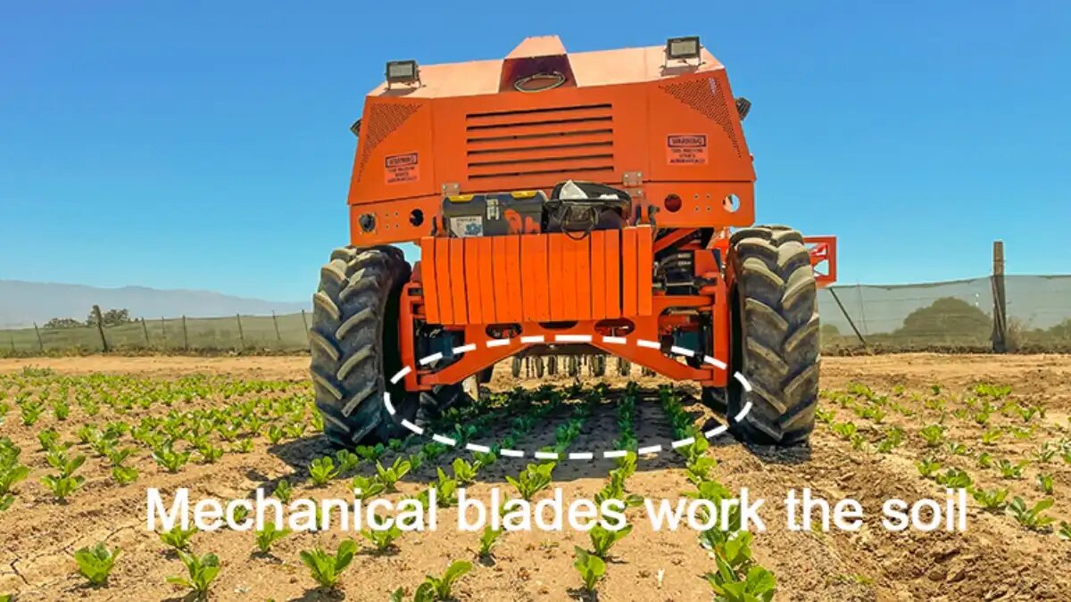 Фото: mobilerobotguide.com Farmwise Titan — это автономное решение для прополки