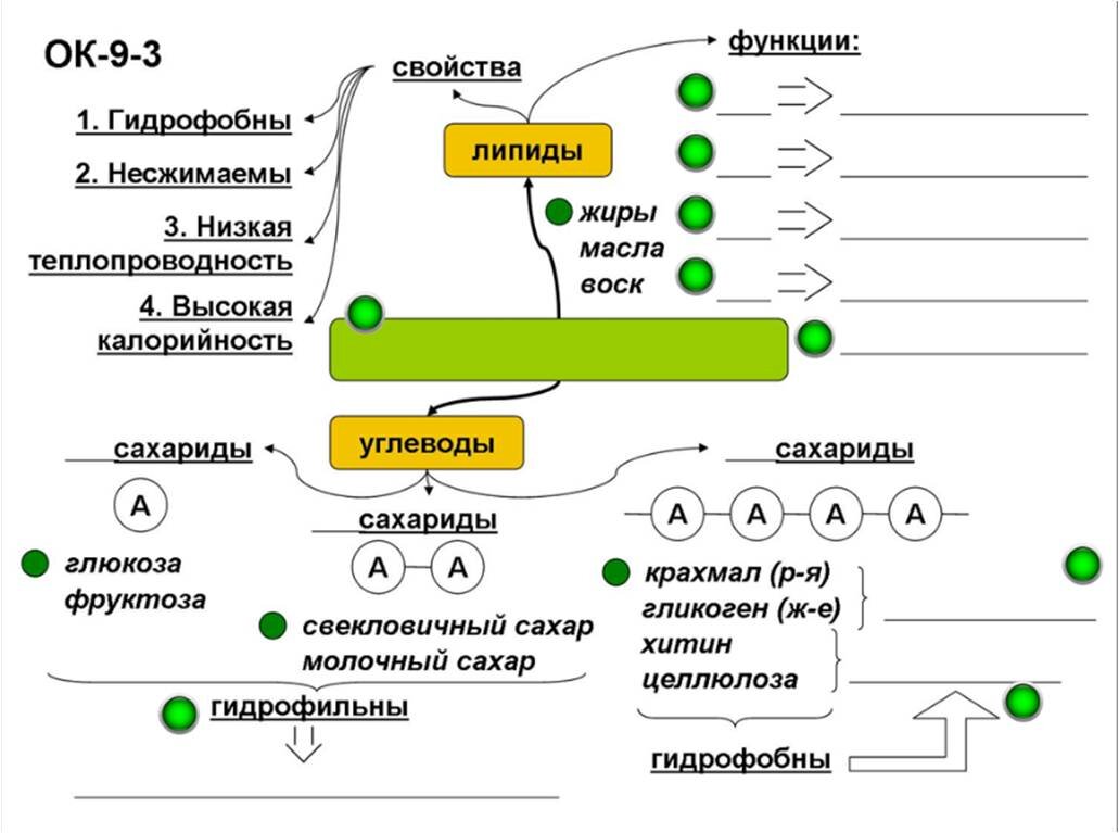 Плохие липиды. Медленно осваиваемый углевод.