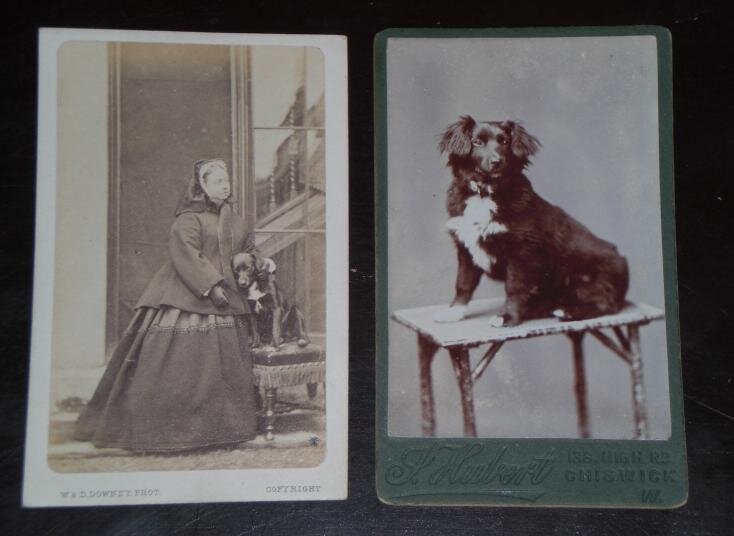 королева Виктория и колли Шарп 1864
