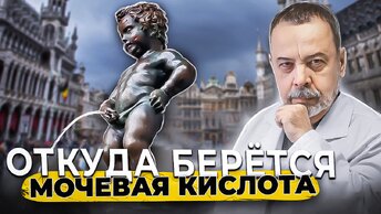 ОТКУДА БЕРЕТСЯ МОЧЕВАЯ КИСЛОТА