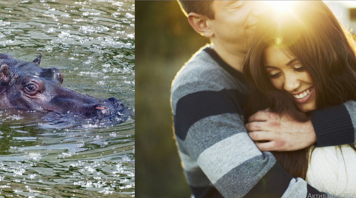 Наблюдатель, который не раскроет тайну этой парочки. Источник коллажа: Яндекс Картинки