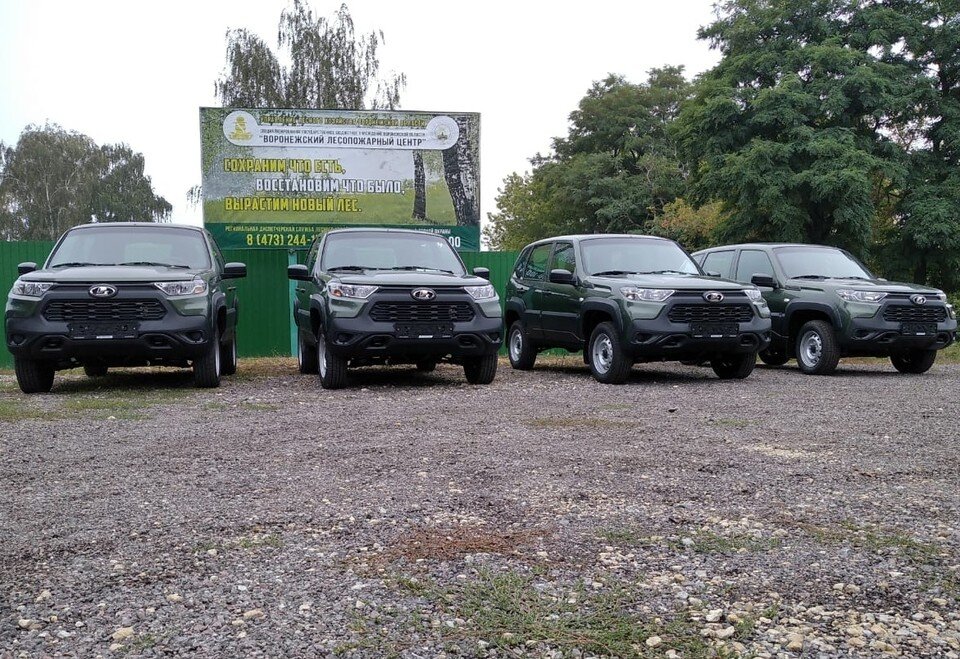     С сайта управления лесхоза Воронежской области  Предоставлено