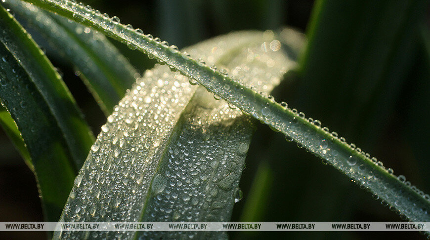    Фото из архива