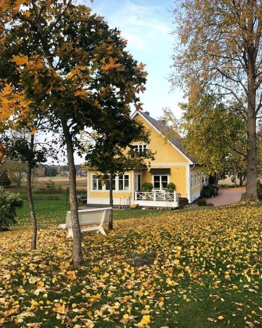 Фото: @themalkiainen