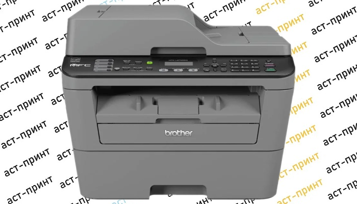 Фото 1. МФУ Brother MFC-L2700