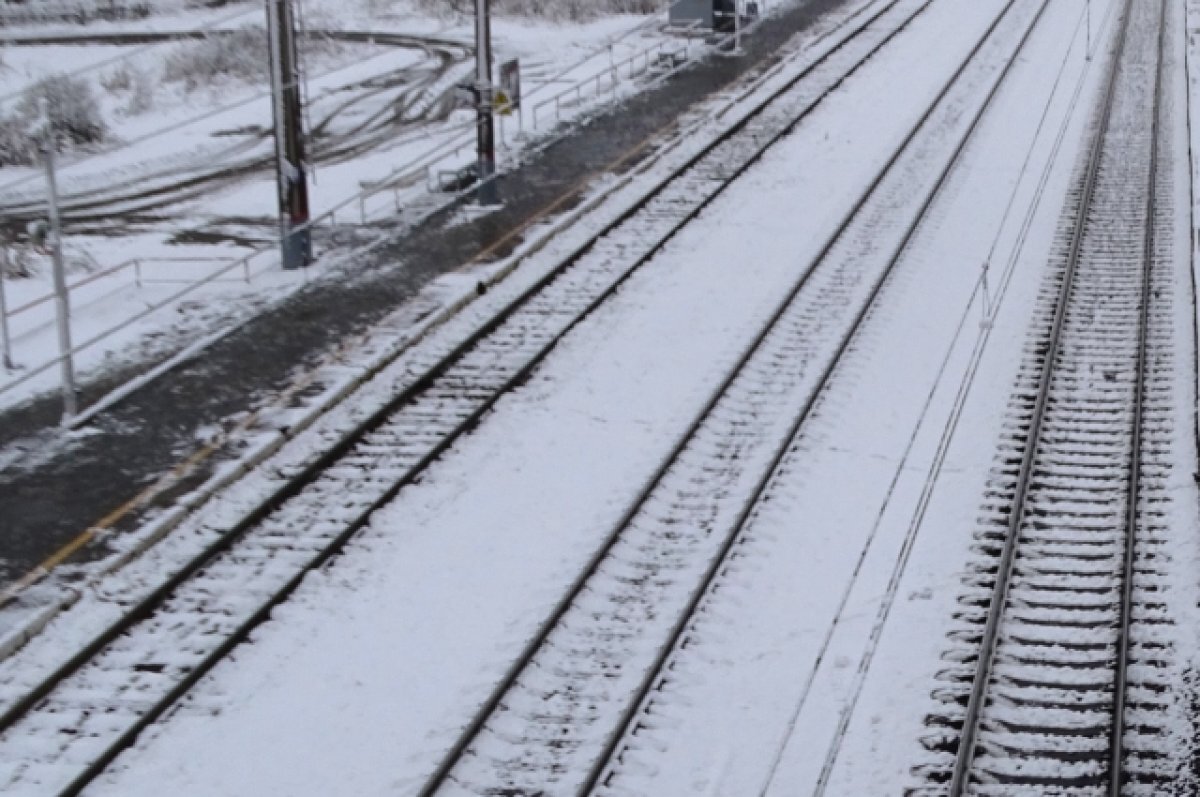   19 человек получили травмы на железной дороге во Владимирской области