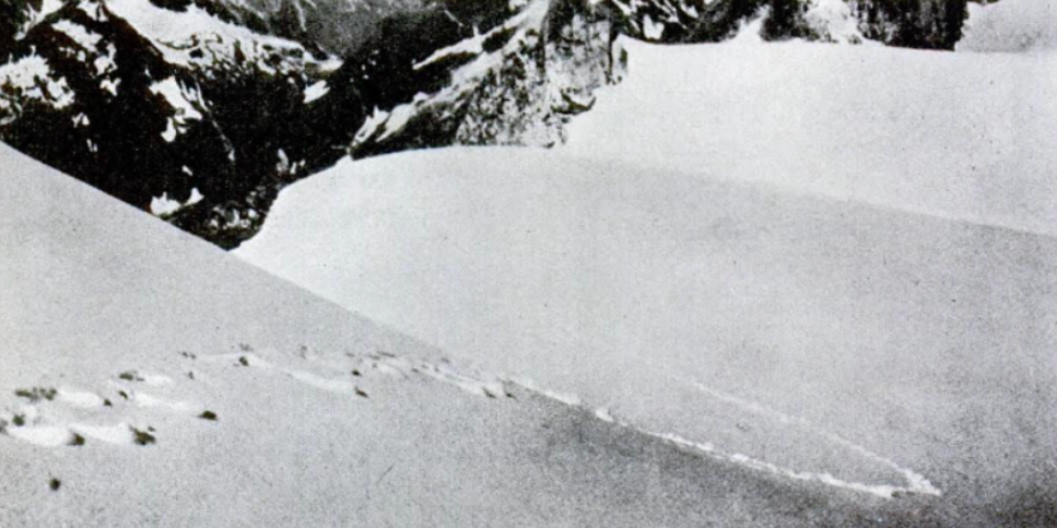 В 1937 году Фрэнк Смит сфотографировал следы предполагаемого йети, фото были напечатаны в Popular Science, 1952 год. Фото: Wikimedia Commons