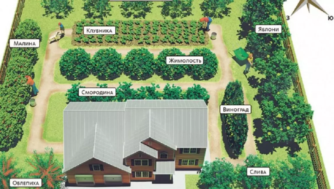 Периметр дачного участка. Схема посадки плодового сада. Схема посадки плодовых деревьев и кустарников на участке. Планировка посадки плодовых деревьев на участке. Схема посадки плодовых деревьев и кустарников на участке 6.