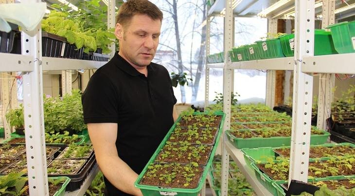    Питомниководство для российских потребителей угождает садоводам и любителям домашних цветов