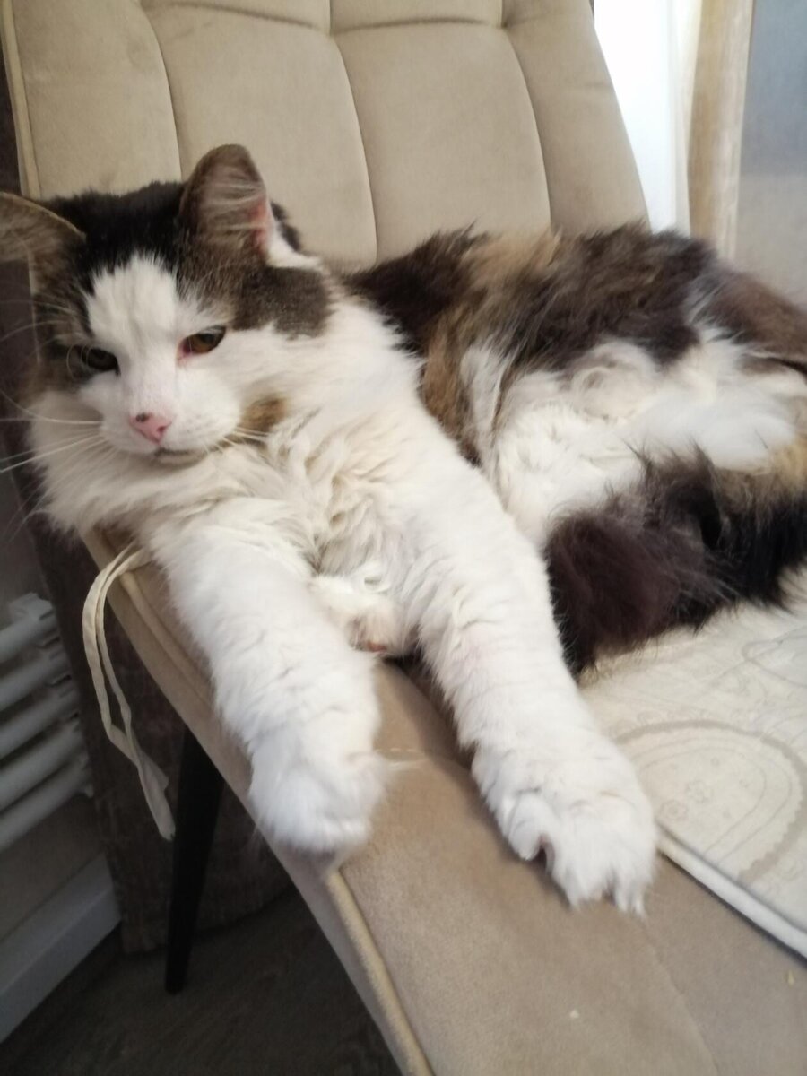 Фото автора.