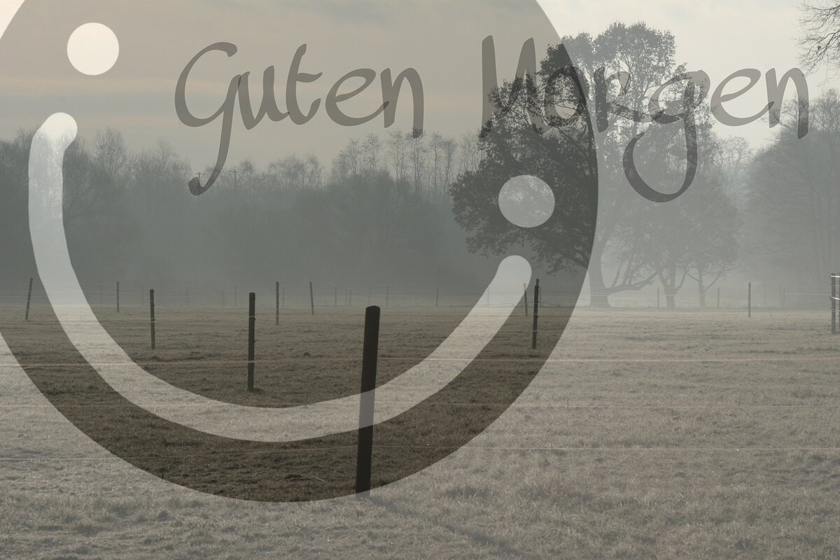 Иллюстрация с открытой лицензией на использование. https://pixabay.com