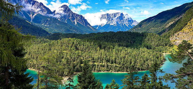 Фото из сети 