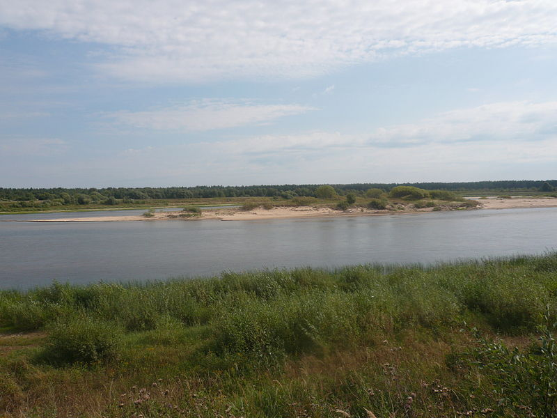 Река Вага. Фото Felitsata 2010г. - ru.wikipedia.org (CC BY-SA 3.0)