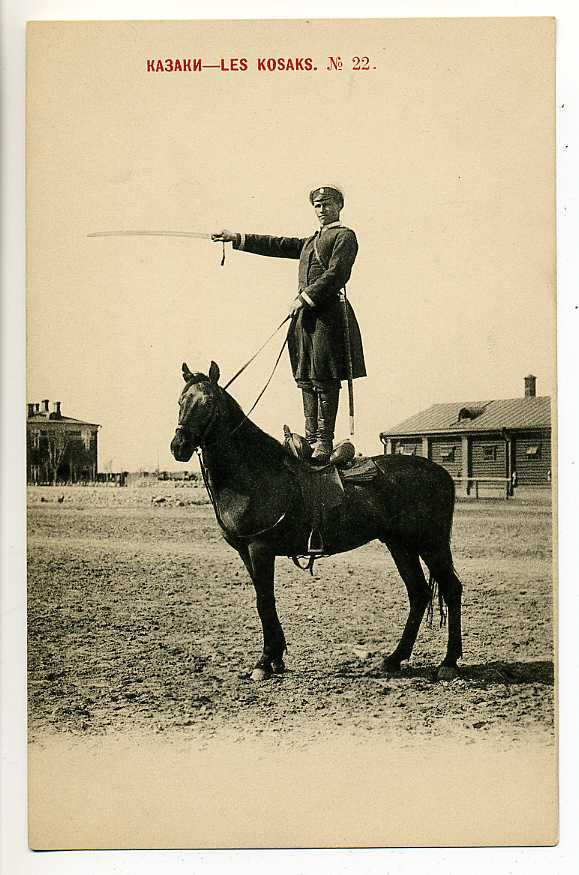 В нашем эволюционном прошлом сила и мышцы верхней части тела мужчин были  полезными для приобретения и защиты ресурсов, таких как еда и территория. 