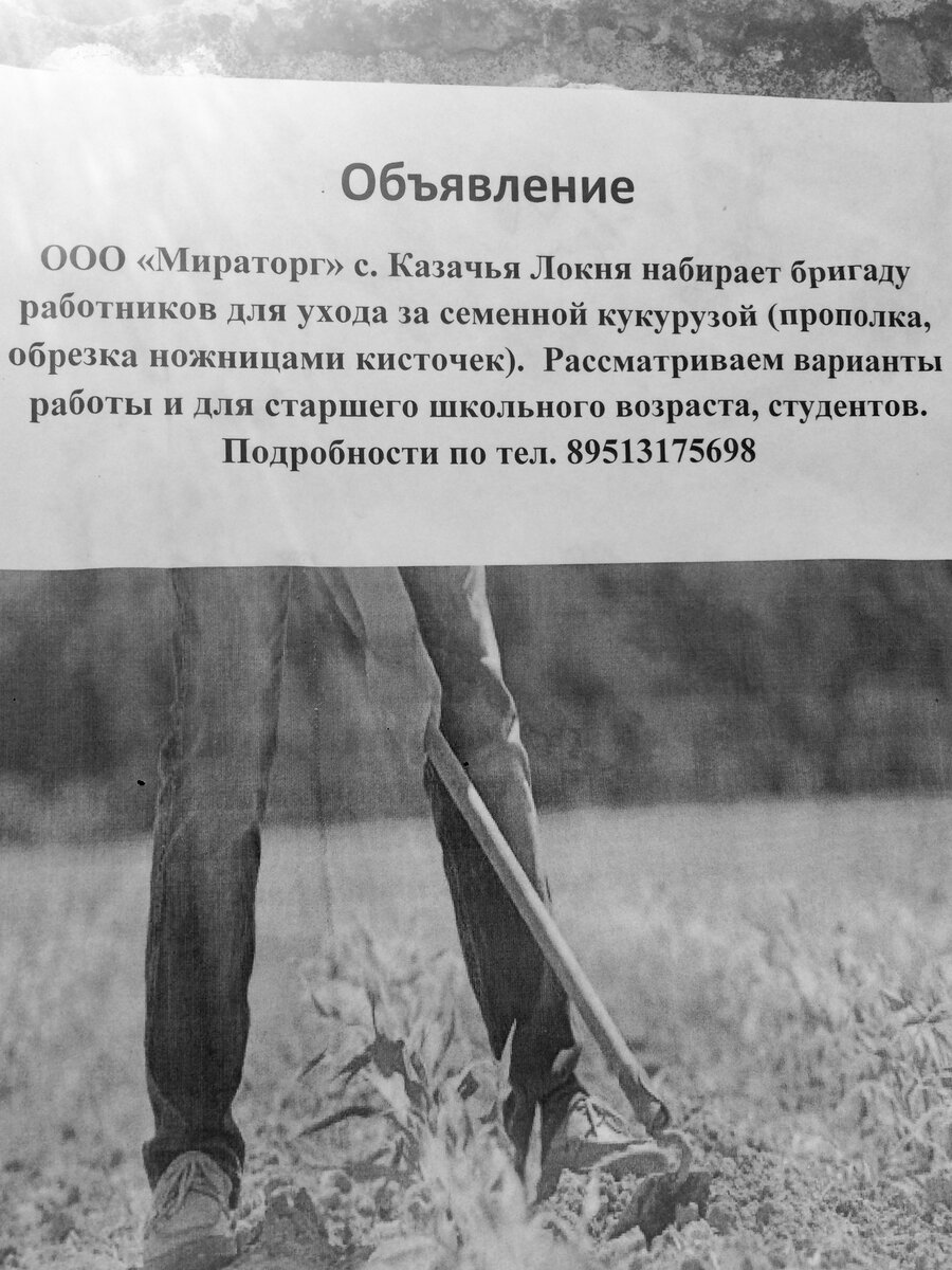 Вакансии для подростков этим летом