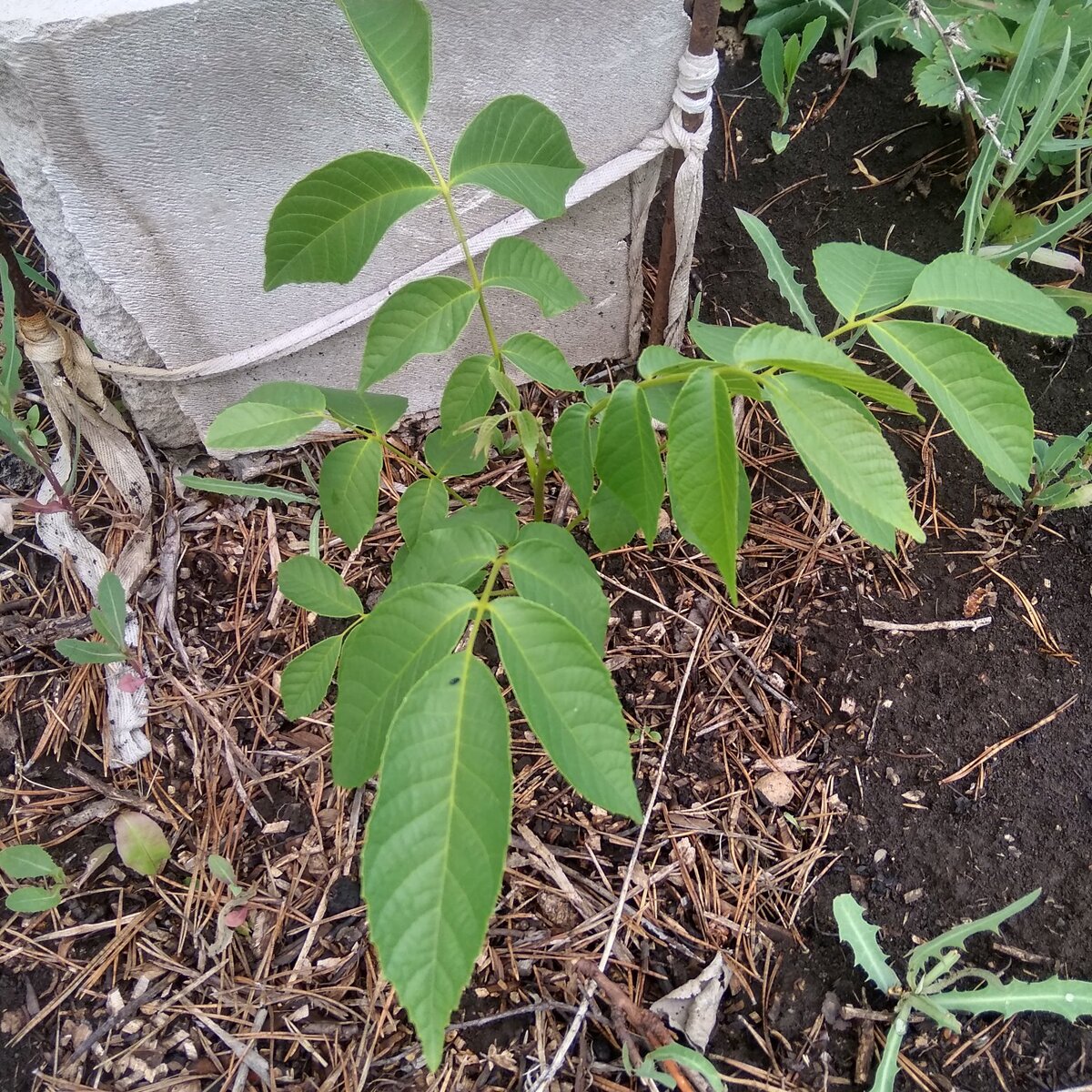 фото июнь 2021