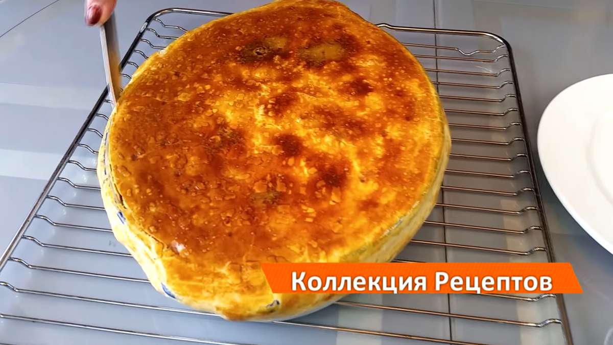 Вкусная свинина с овощами и грибами в сливочном соусе | Дина, Коллекция  Рецептов | Дзен