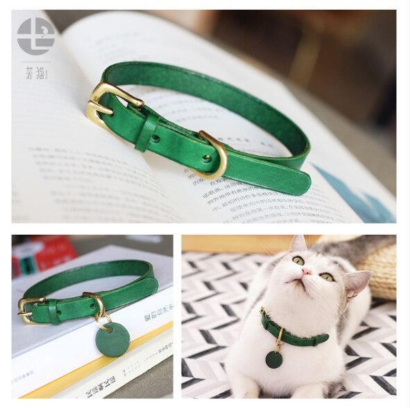 Ремни модные