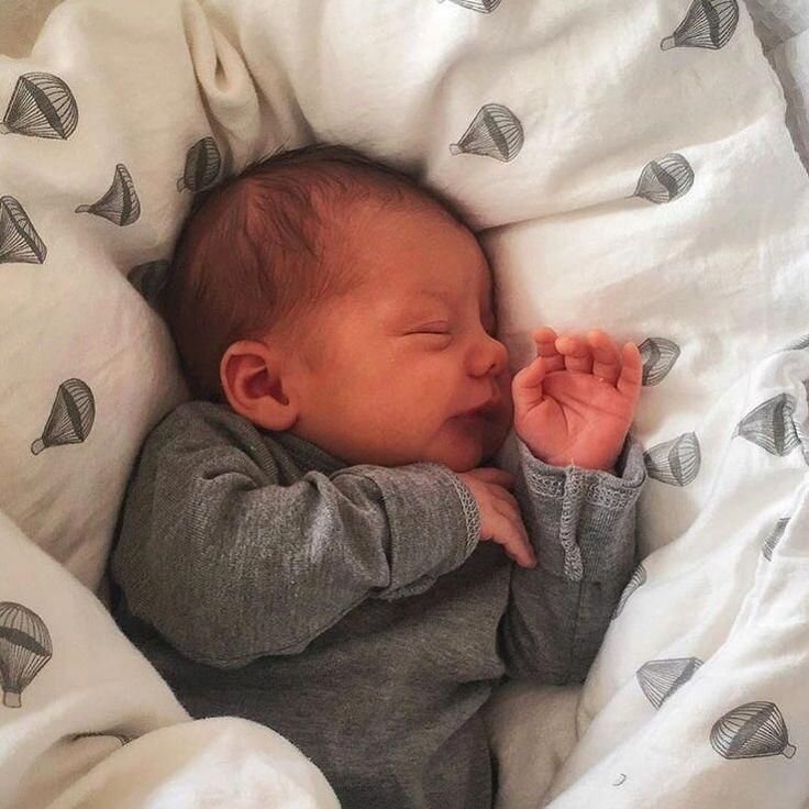 фото Яндекс