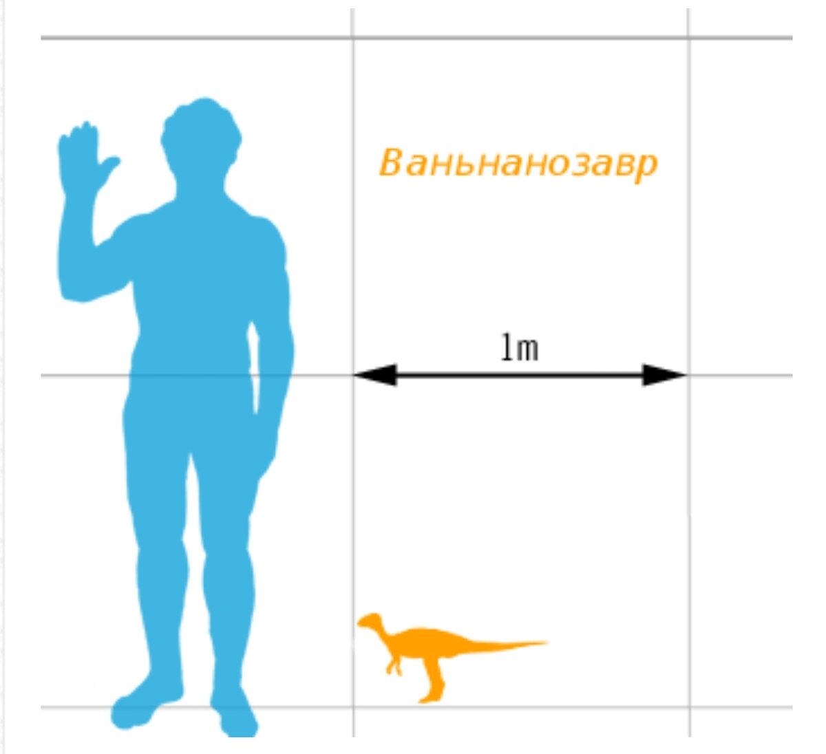 Сравнение с человеком