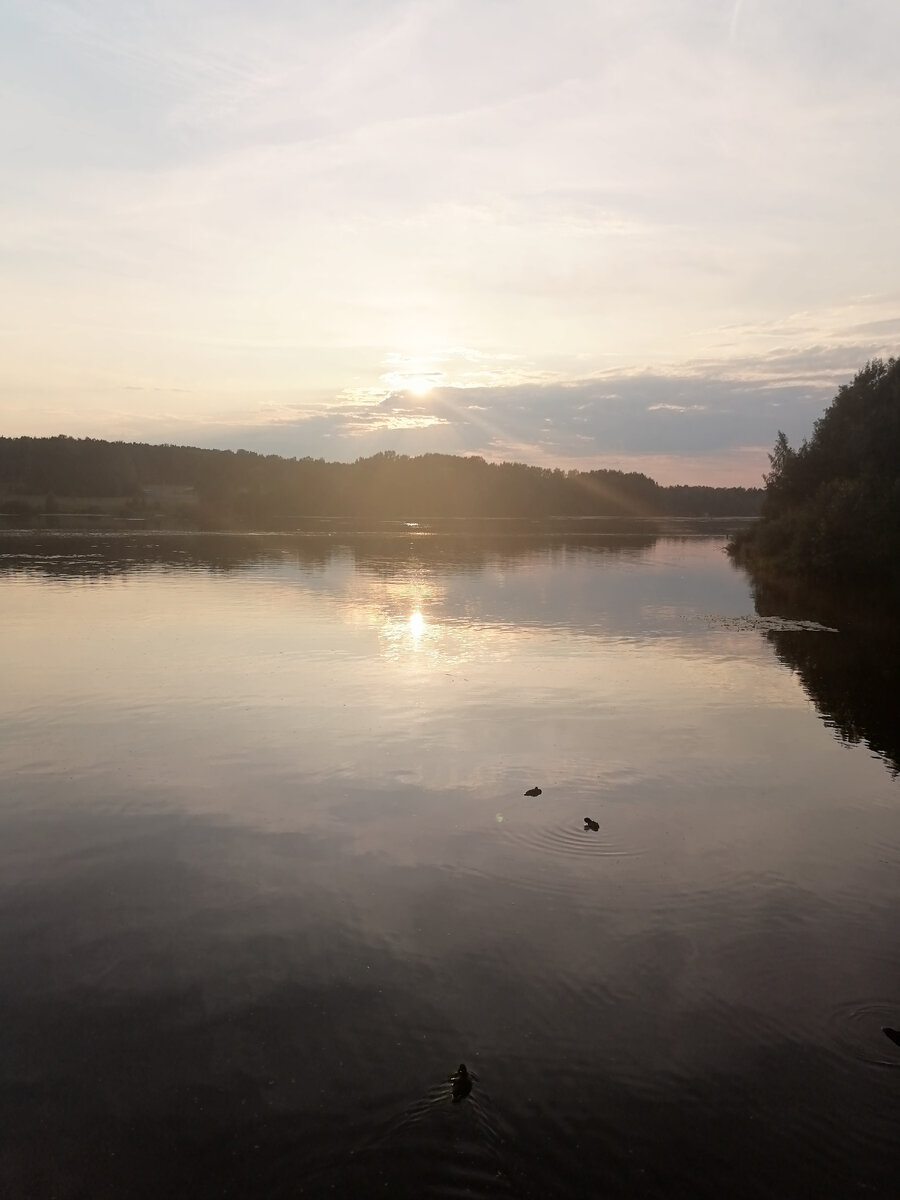 Не далеко от моего сада такая красота, можно вместе с кофе наблюдать за этим