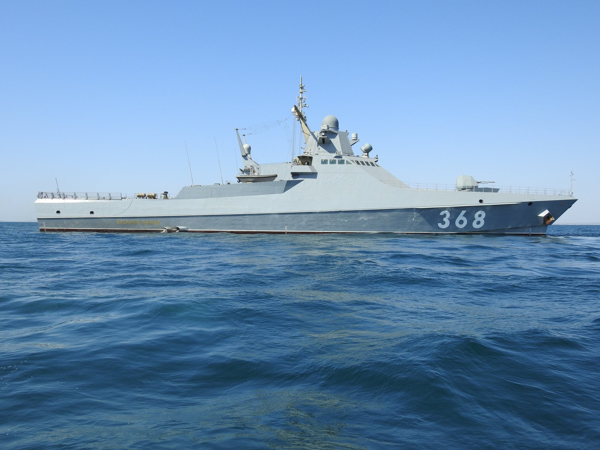 Проект 22160 "Василий Быков"