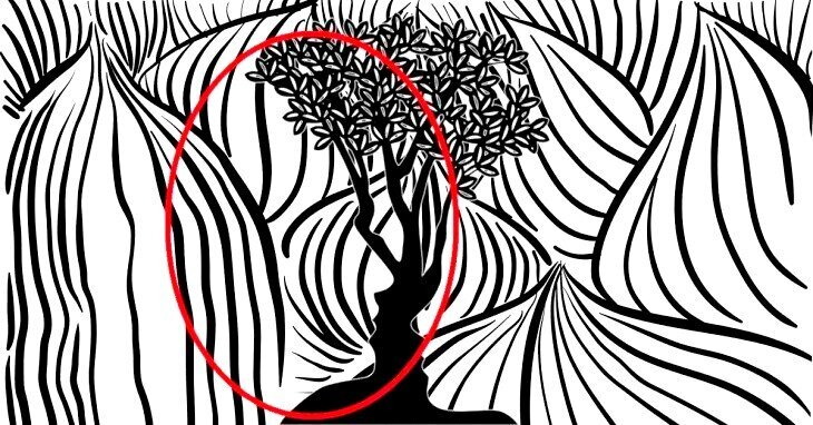 Добавьте описание