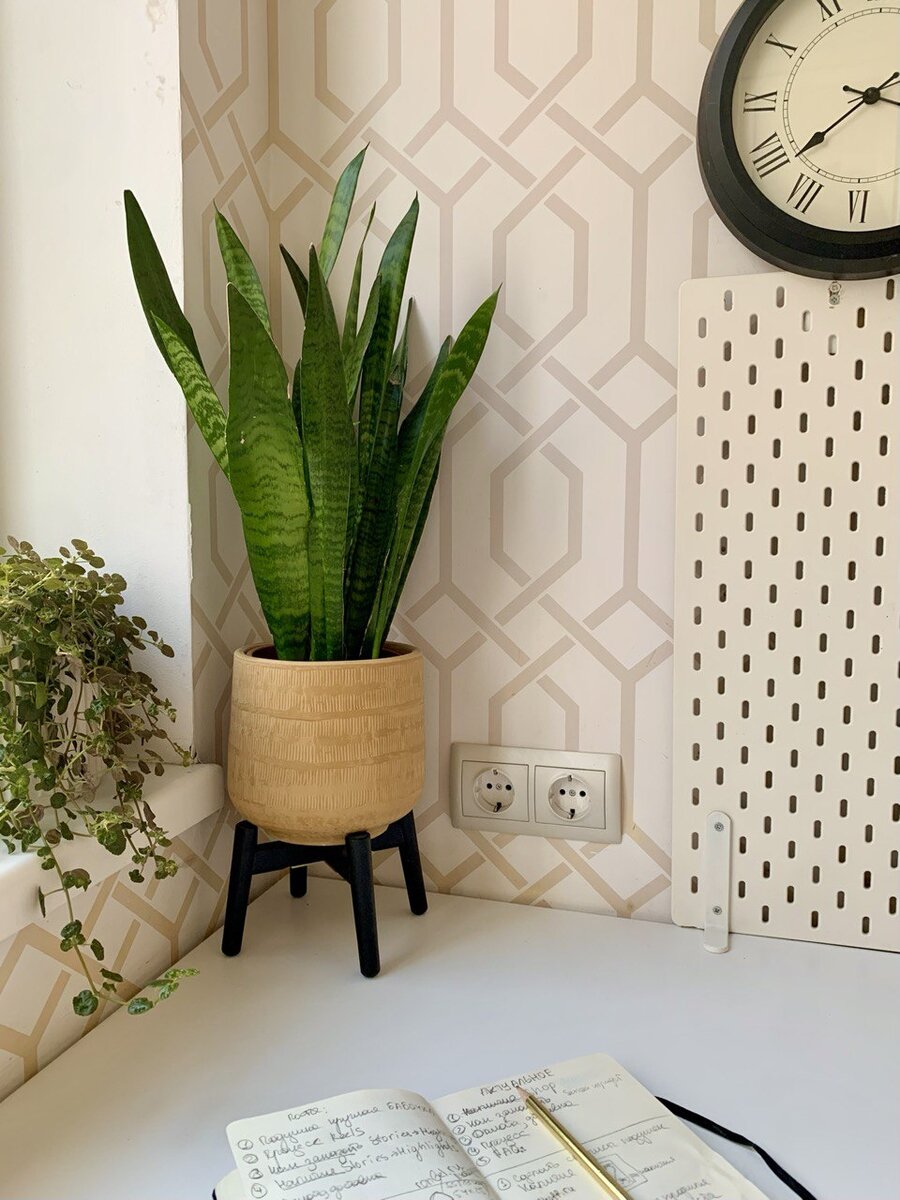 Одна стабильно занята зарядкой для телефона, вторая часто швейной машиной и принтером (неудобно, потому что он стоит в другом угле)