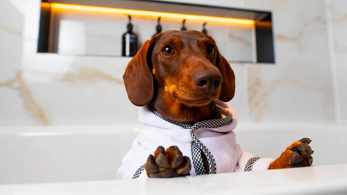 tielleloveluxury.co.uk