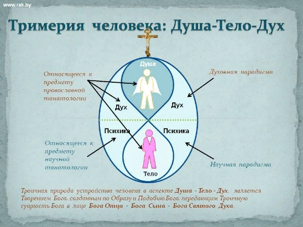 Как будут выглядеть души