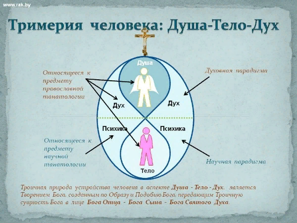 Православие что означает дух. Христианское понимание души. Человек дух душа тело. Тело душа и дух в православии. Схема души человека.