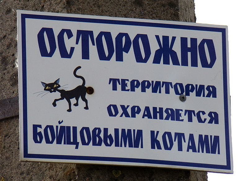 Фото взято из открытого источника https://yandex.ru/images