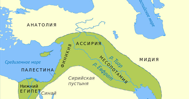 На территории Плодородного Полумесяца  образовались идеальные условия для 
одомашнивания кошек