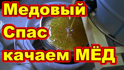 МЕДОВЫЙ СПАС ! КАЧАЕМ МЁД ! Сокращение гнезда пчёл на зиму .Начинающий пчеловод .