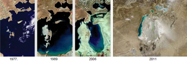 Аральская катастрофа причины и последствия проект