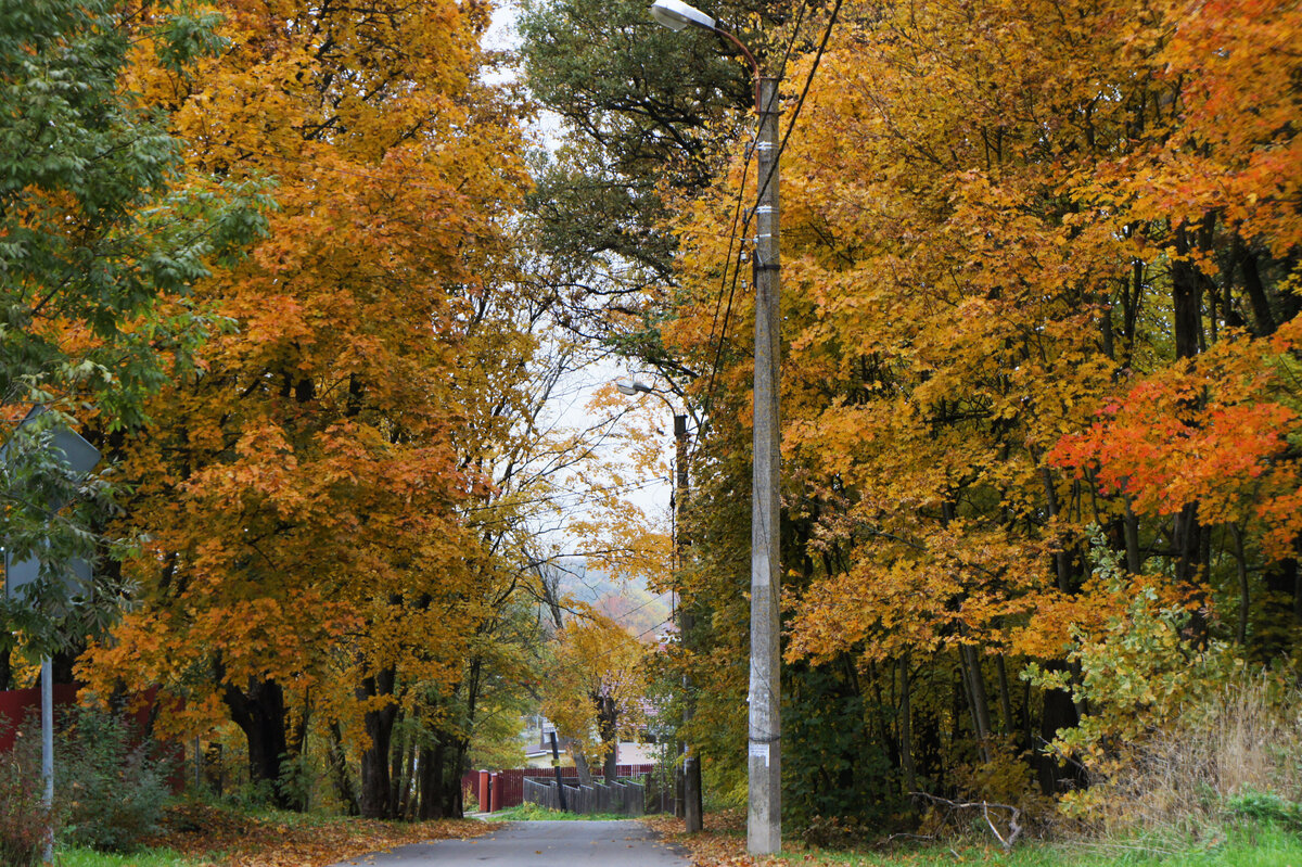 Сентябрь в Дудергофе. Все фото автора. Листайте галерею >>