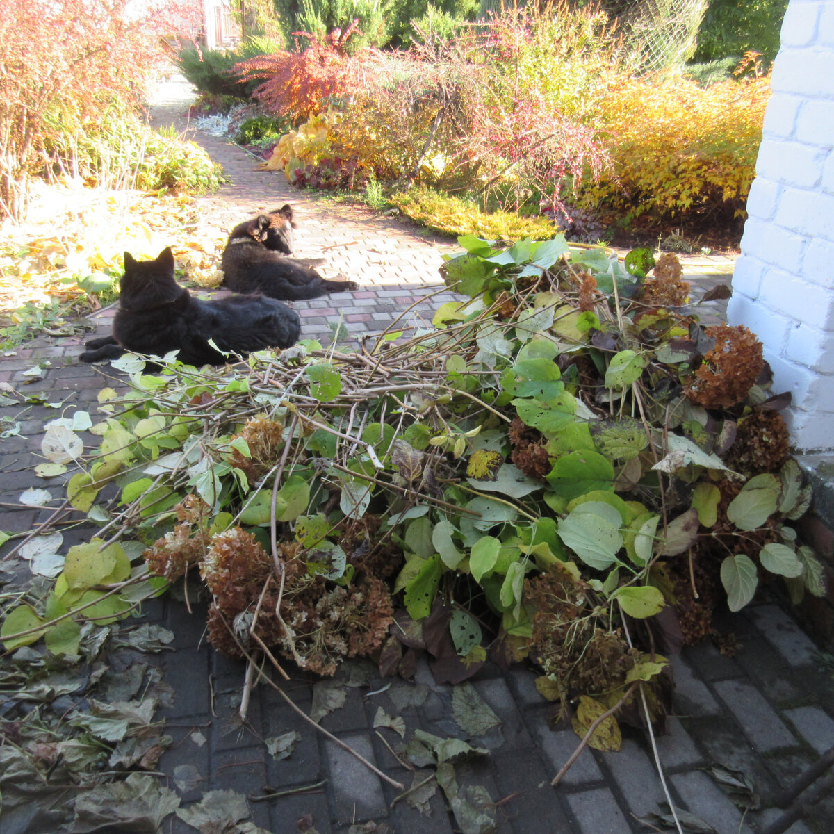 Октябрь, 2021г.