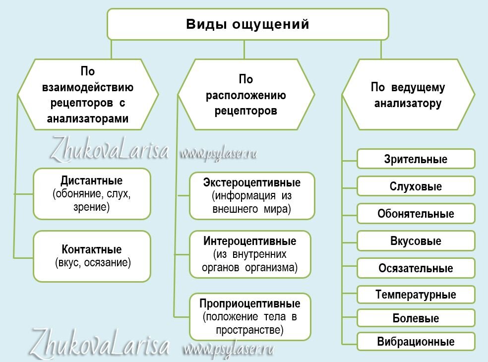 Что такое психология?