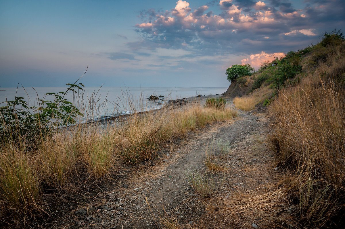 Главное крым. Тропинки к морю Крым. Тропа к морю черное море. Владимирское море. Арциз дорога к морю.