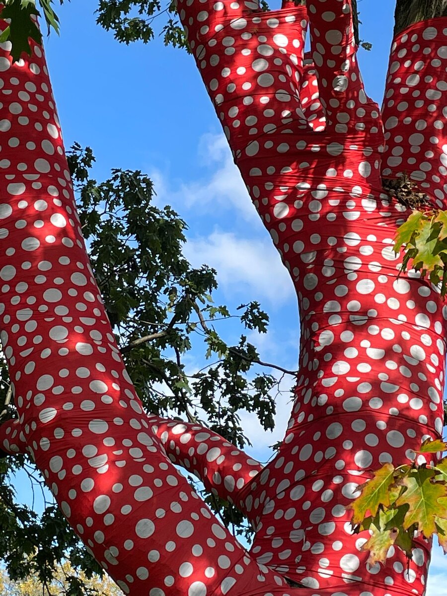 Yarn bombing граффити. украсить дерево. деревья одевают. акция украсили деревья. обвязанные деревья.