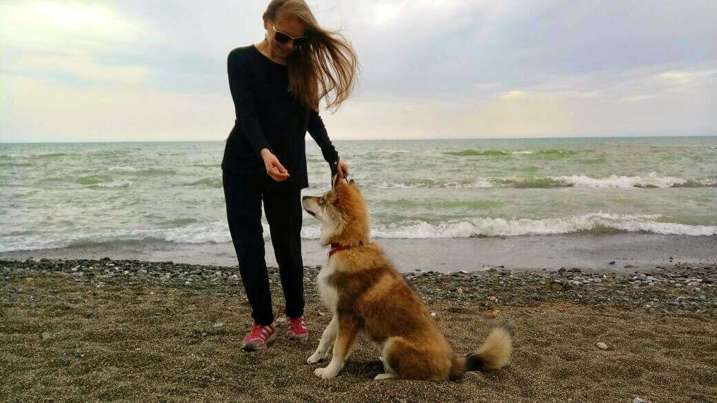 Вот так можно и на море с щенком поехать, если очень хочется! Фото автора.