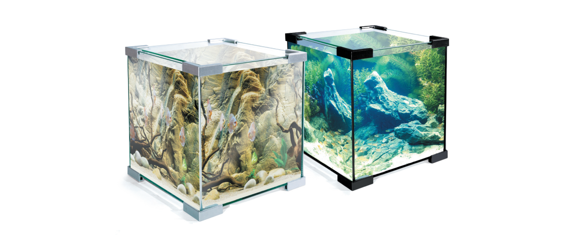 Как подобрать размер аквариума | PROpets | Дзен