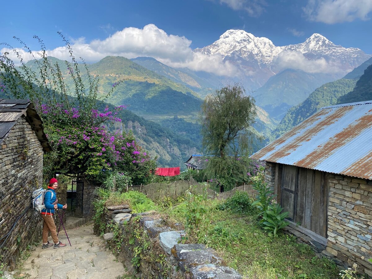   Величественные Гималаи 