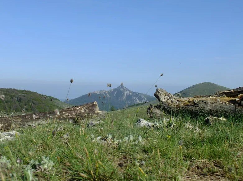 Гора Кубриали-Кыр. Алтуша