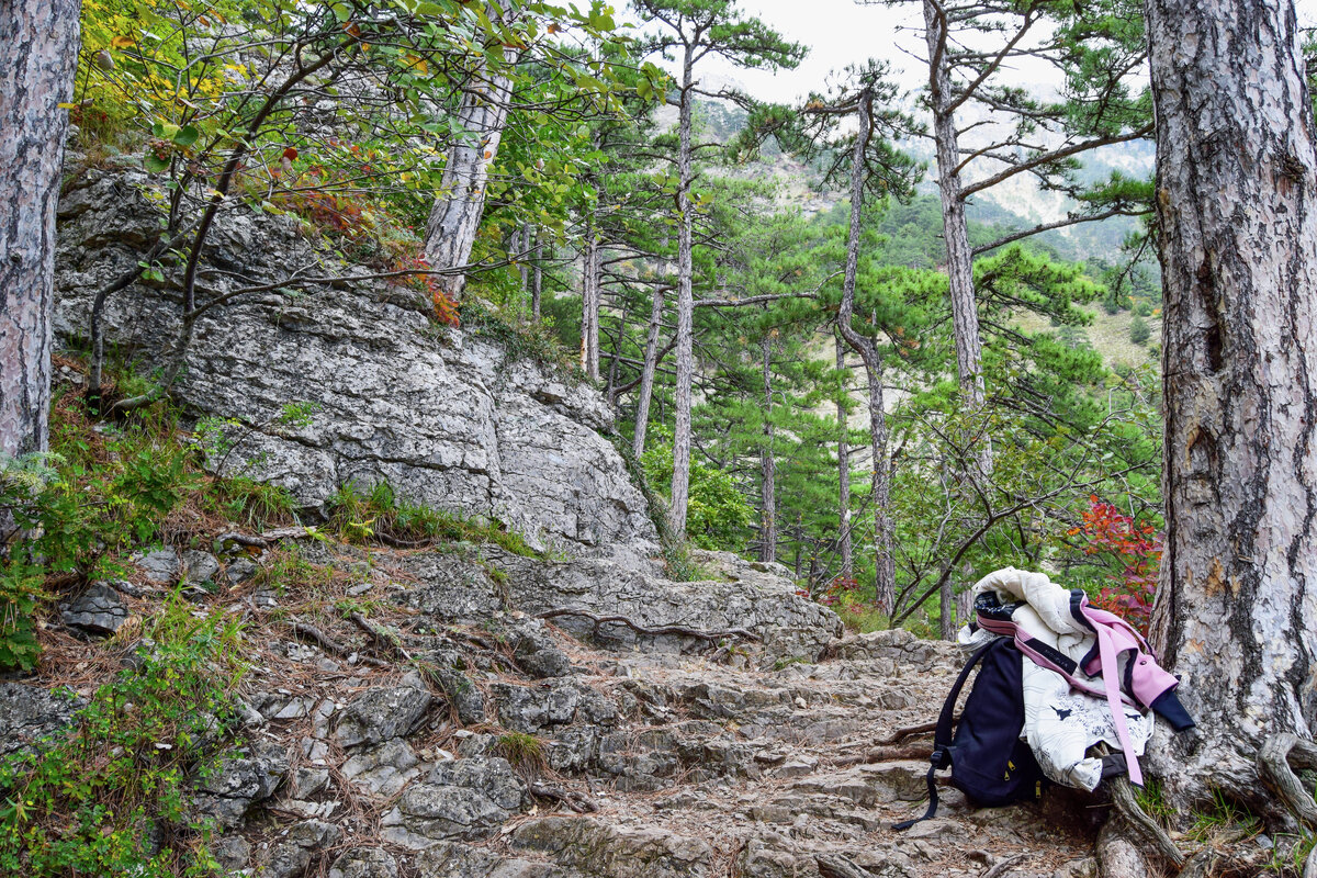 Тропа в Крыму // Туристический портал Республики Крым, Светлана Мальцева 