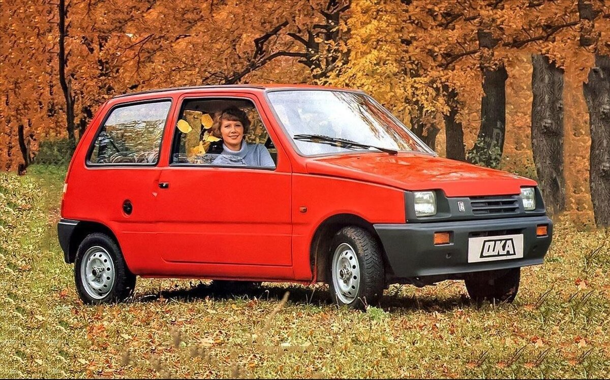 Купить б/у Lada (ВАЗ) 1111 Ока 1987-2008 0.8 MT (37 л.с.) бензин механика в Туле