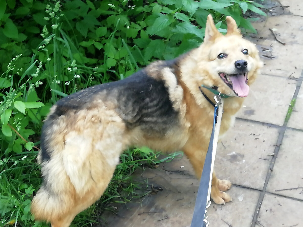 Мы нисколько не дорожим нашим настоящим. Только и делаем, что предвкушаем будущее и торопим его словно оно опаздывает, или призываем прошлое и стараемся его вернуть