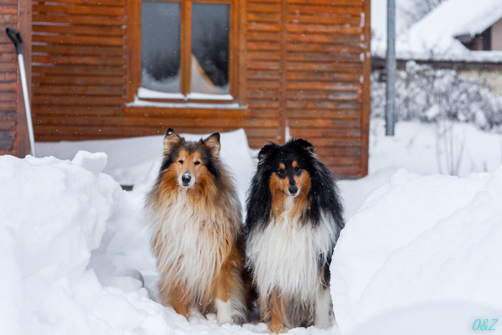 Бывало и такое. Фото автора.