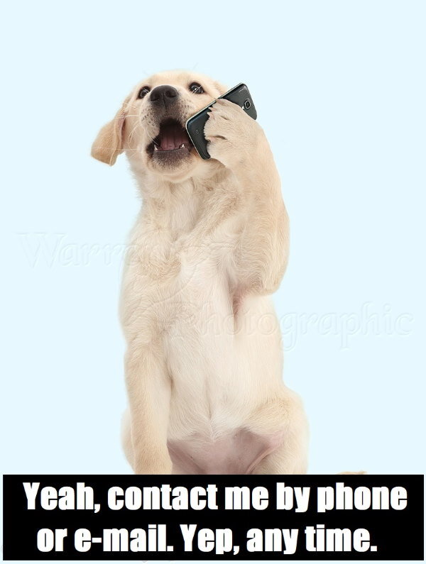 Да, звоните мне или пишите на почту. Ага, в любое время. 