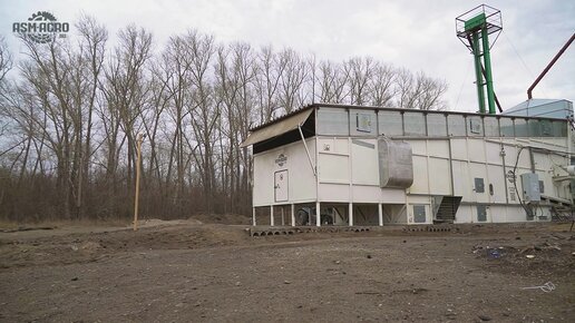 Сушка подсолнечника в Новоивановке Алтайского края: отзыв на конвейерную зерносушилку ASM-AGRO-58